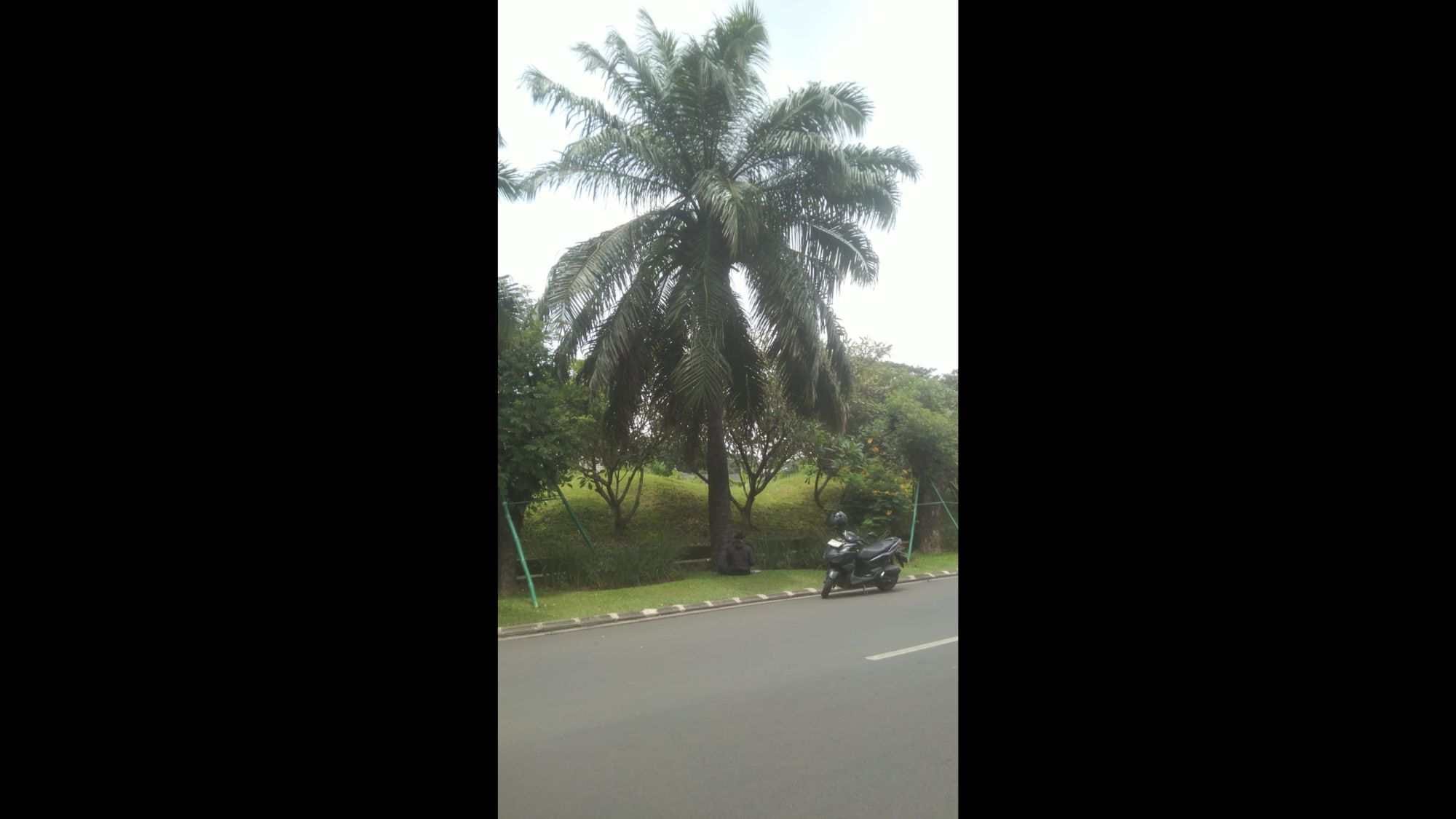 kavling commercial district lippo karawaci (9)